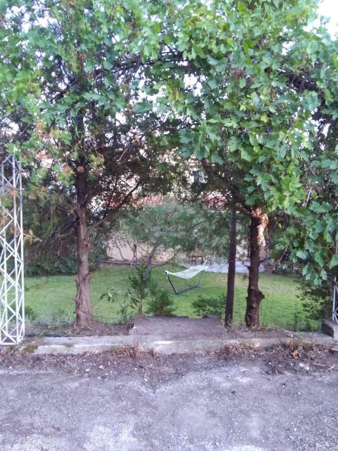 Villa Palmyra Pogoniá Esterno foto